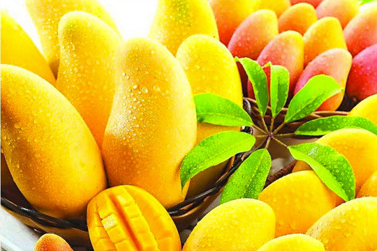 Mango yellow excellent