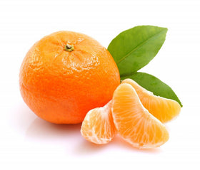 Product No Sidebar - Large Image